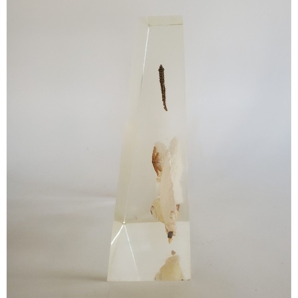 1970 Lucite Acrylic Bookends Nautical Ocean Beach Seashells Seahorses Starfish - Picture 13 of 16